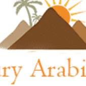 luxury arabian tours desert safari